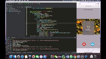 A fruit detection and counting application using Faster R-CNN.
