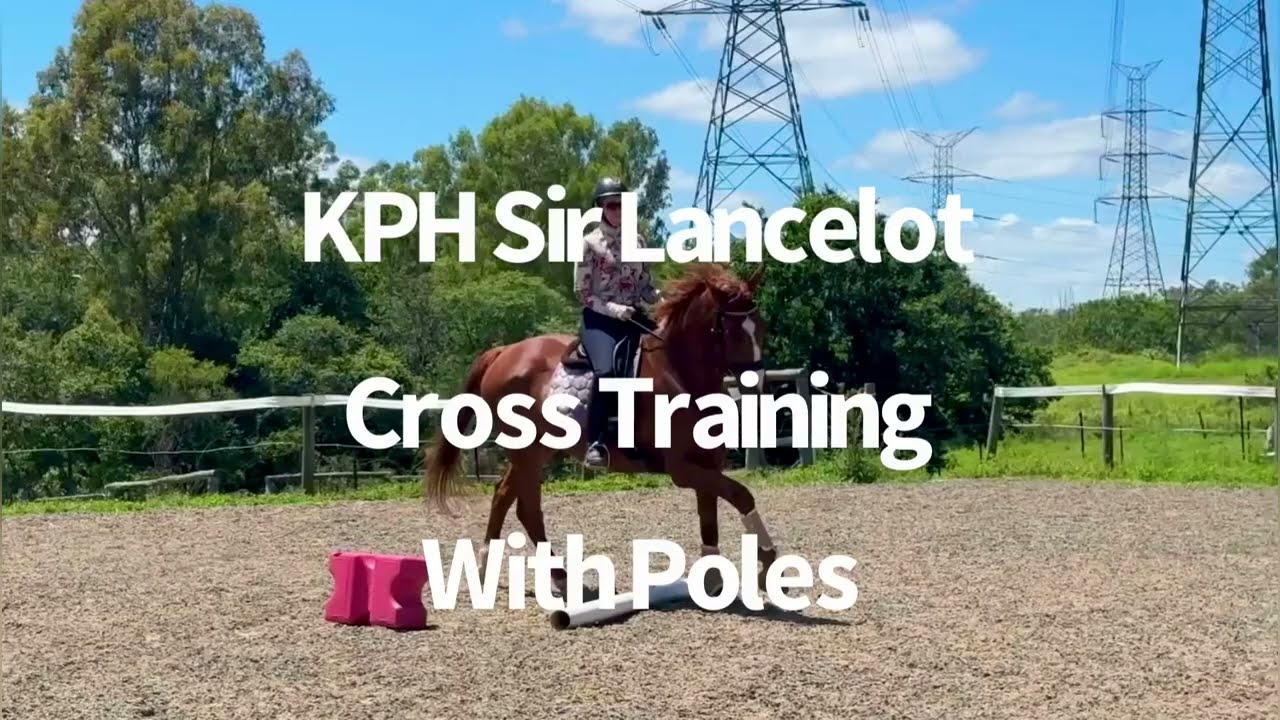 KPH Sir Lancelot - Cross Training with Trot & Canter Zig Zag Poles