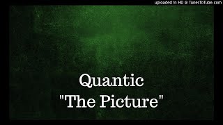 Quantic - The Picture Inside