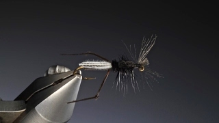 Tying a Hawthorn Fly with Barry Ord Clarke