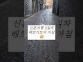 이탈리아 베르가모 신혼여행과 삼프터썰 #삼프터 #소개팅 #데이트 #신혼여행 #베르가모 #이탈리아