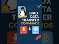 Linux Tips: Data Transfer Commands  curl &amp; wget Explained 🚀 #shorts #linux