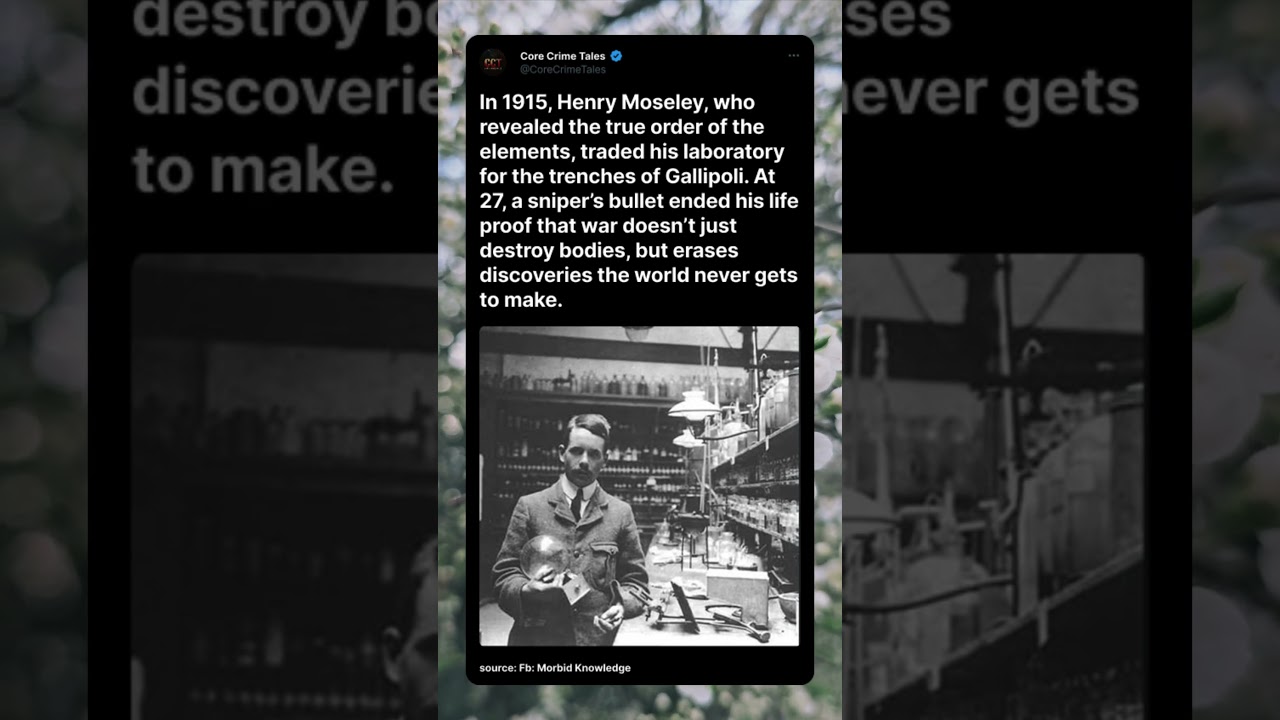 The Genius War Silenced