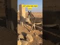اكسبلور ترند لايك مشهد للحمار وهو يعرض ماعون الاكل والشرب يحسسك بانه يطلب Funny Fyp Fun 