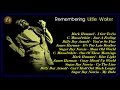 Capture de la vidéo Remembering Little Walter [Non Stop V.a. Album] (Kostas A~171)