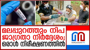 മലപ്പുറം ജില്ലയിലും നിപ ജാഗ്രതാ നിര്‍ദ്ദേശം I Nipah alert in Malappuram