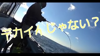 荒ます釣船にてヒラメ釣り 伊良湖 Youtube