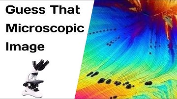 Can You Identify These Objects? Test Your Microscopic Observation Skills with This Thrilling Quiz!