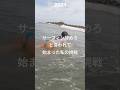 無趣味な元OLがサーフィン頑張った結果… #バリ島 #旅 #旅行 #女子サーファー #vlog #海旅 #海外生活