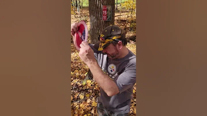 North Strabane Disc Golf: Hole 15 (Oct 23, 2022) -...