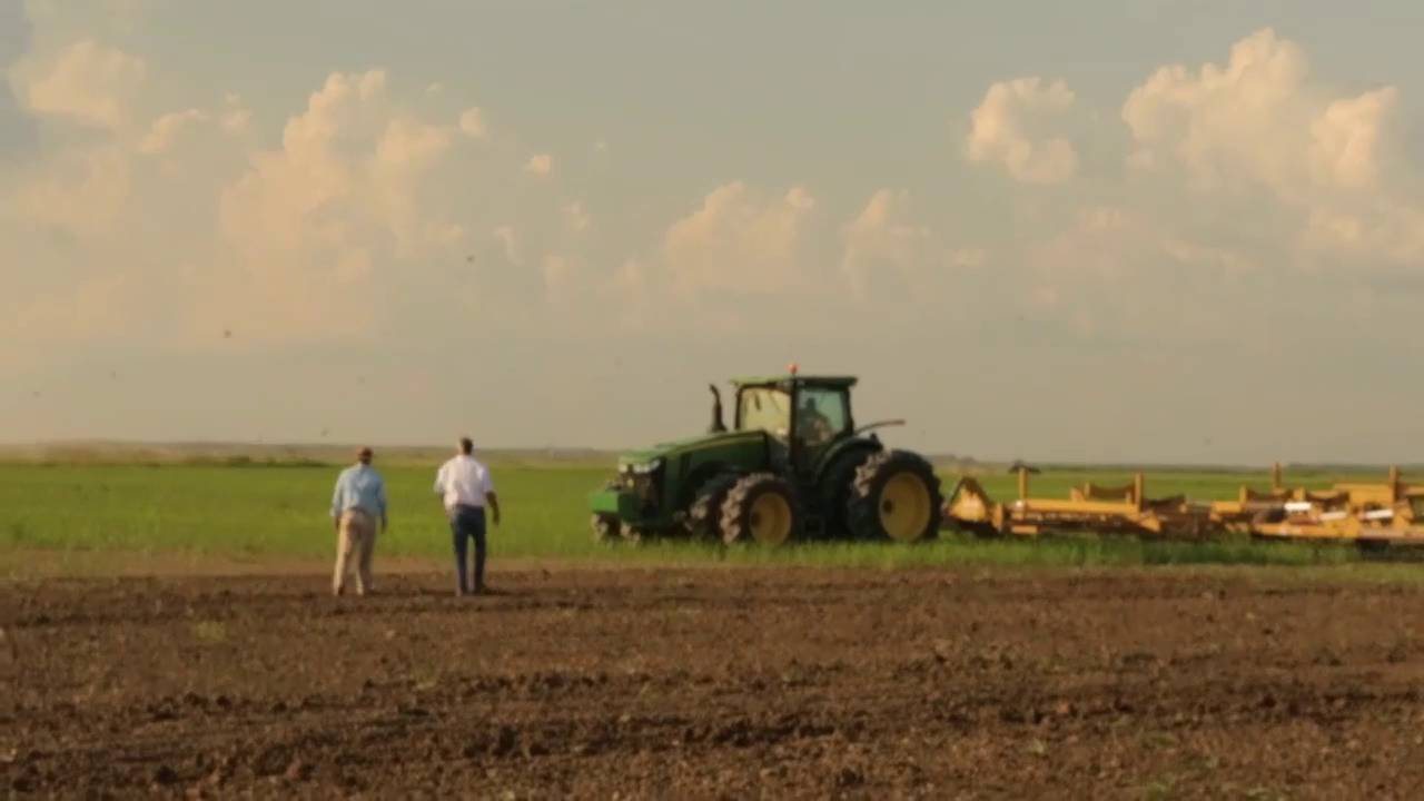 Ashley Dickson | Stewards of the Land | KenChaux - YouTube