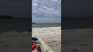 Picnic Island with Cape Coral Canal Tours!