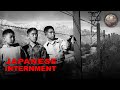 Japanese American Internment and Resilience During World War II