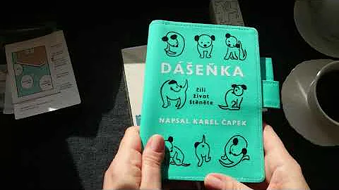 Dashenka Hobonichi Techo & Stationery Haul