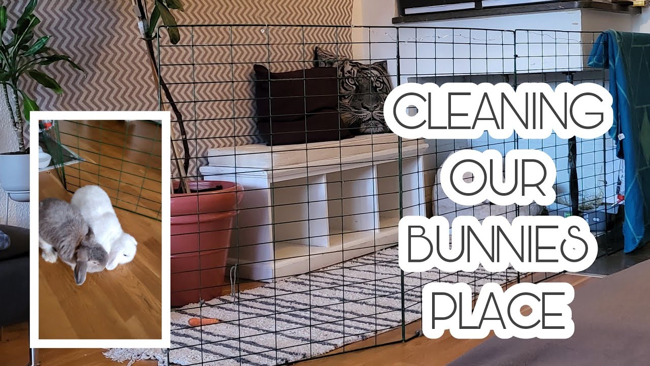 CLEANING OUR BUNNIES COZY CAGE YouTube