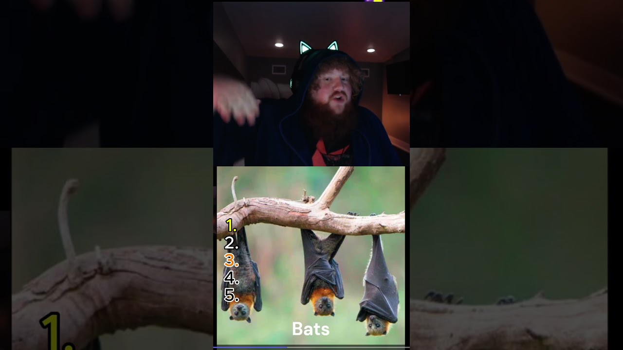 Caseoh Ranks animals 