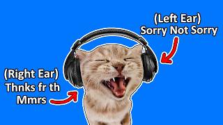 Left Ear Sorry Not Sorry, Right Ear Thnks fr th Mmrs
