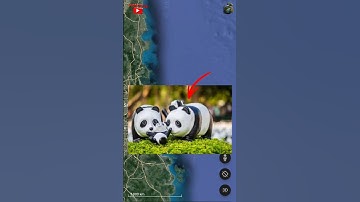 I Found 1600 PANDAS! GEO at the END! #shorts #ytshorts #google #viral