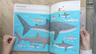 Без ума от Акул screenshot 5