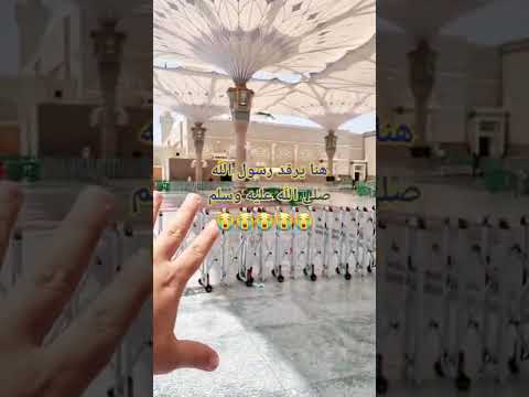 هنا يرقد المصطفى صلى الله عليه وسلم د حمزة الخالدي 