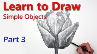 Fascinating Method for Drawing a Beautiful Tulip Convincingly in Pencil: Drawing Basics PART 3