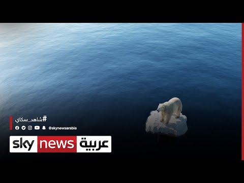 هل تنجح الدول في تحقيق الحياد الكربوني بدون الإضرار بأمن الطاقة الاقتصاد