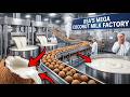 How 1 Million Coconuts Are Processed Into Coconut Milk | Full Factory Tour