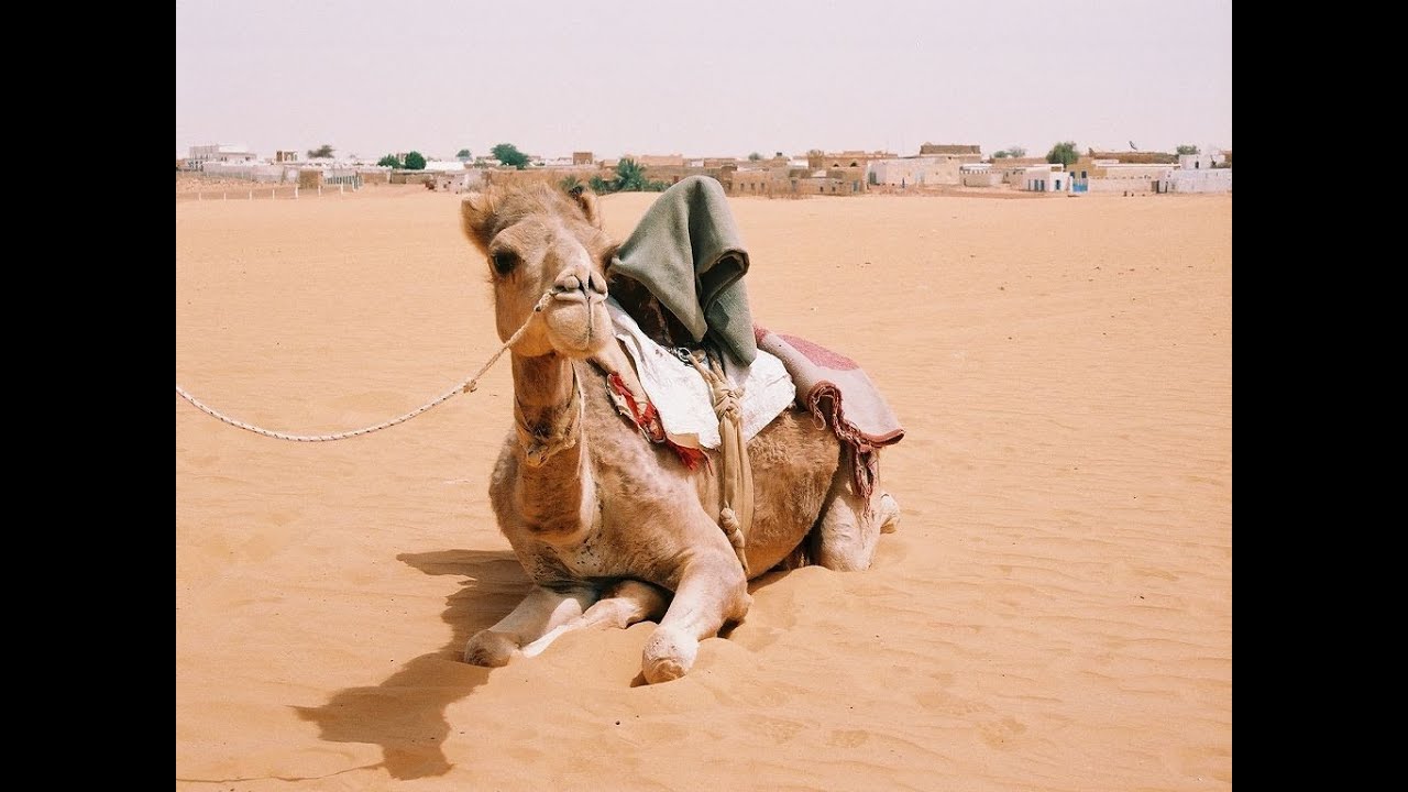 2003 Mauritanie Film HQ