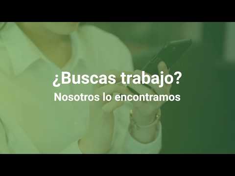 Bilgisi - Trabajo y empleo
