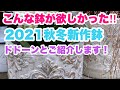 【ガーデニング】【2021秋冬新作鉢】アンティーク調のデコラティブな素敵な鉢がいっぱい❤︎いち早く情報をお伝えします❤︎秋冬ガーデニングのヒントに！【２０２１年7月15日】