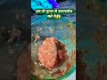 हमारा क्या🤣😜#funny #comedy #pyaaj#chattni #nice #tasty #renukidesirasoi