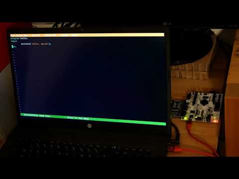 "Hello World" in Pascal on  the Tridora-CPU -  a full-custom homebrew FPGA CPU