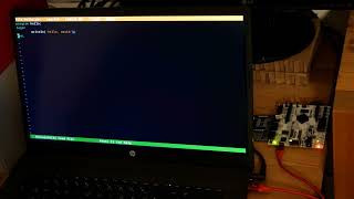Hello World in Pascal on  the Tridora-CPU -  a full-custom homebrew FPGA CPU