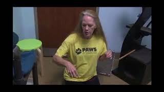 Ninja | Coronado City Manager's Weekly Update by Friendliest Paws 32 views 6 years ago 2 minutes, 11 seconds