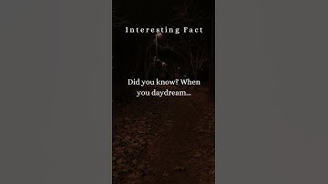 Unlocking the Power of Daydreaming: What Happens When Your Mind Wanders?