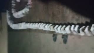 Ccxxvj D Yvsdnmcvmjlb Ux Xx i Xxmj