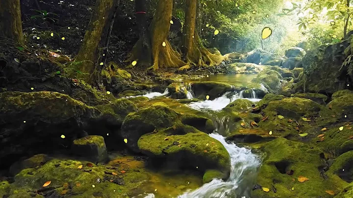 Relaxing Music with Birds Singing -  Beautiful Piano Music & Guitar Music by Soothing