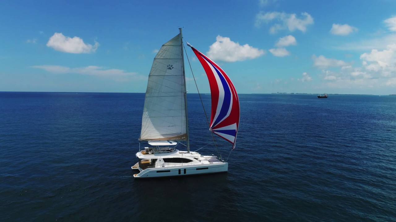 58 Leopard Walkthrough - In The Zone