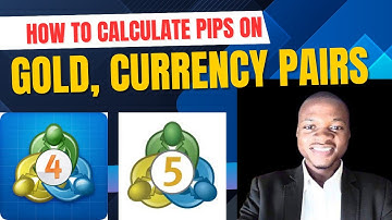 How to Calculate Pips on Gold, BTCUSD and Currency Pairs