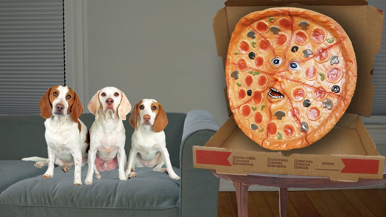 Dogs vs Talking Pizza Prank: Funny Dogs Maymo, Potpie & Puppy Indie Pranked by Talking Pizza