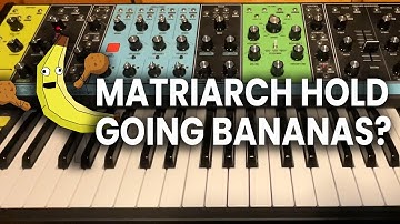 Fix Matriarch Hold Issue with Logic