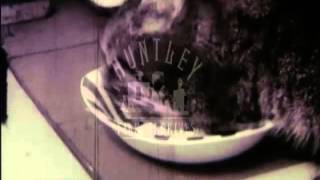 Cats, 1950S - Film 6783