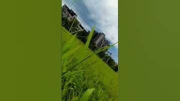 DJI AVATA 2 - Knife edge - Xinhai Ecological Park #djiavata2