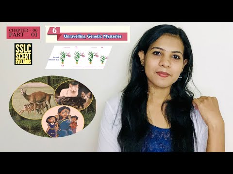 BIOLOGY CHAPTER - 06 - (PART-01) - UNRAVELLING GENETIC MYSTERIES - SSLC KERALA SCERT SYLLABUS 2020