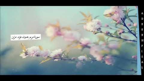 سورة مريم - مؤيد المزين تلاوة رائعة