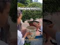 Automatic Plant Watering System using Soil Moisture Sensor by school students 👏🌿 #arduino #steam