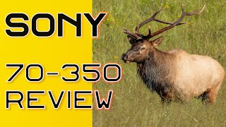 Sony 70-350 G Lens |  Best APS-C Wildlife Lens! | Sony a6700 Test Images