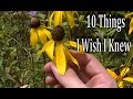 10 Things I WISH I KNEW When Starting To Forage Wild Edibles & Medicinal Plants