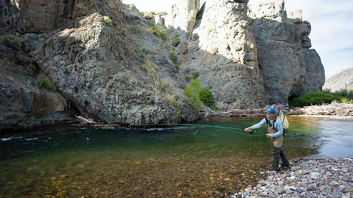 We Found the HOLY GRAIL of Bull Trout Streams!!!