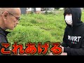 マナル隊けーたにペットあげてみた